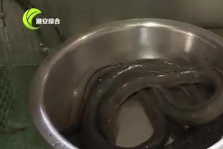 杜龙鱼和鳗鱼有什么区别