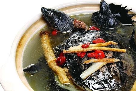 龟板炖骨头的正确做法
