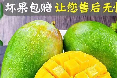 大芒果是什么意思