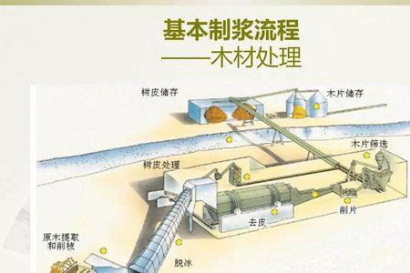 纸浆湿重与叩解度