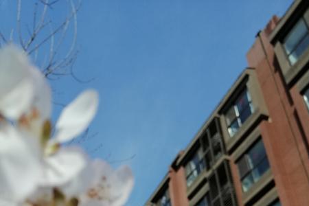 冬藏春发是什么意思