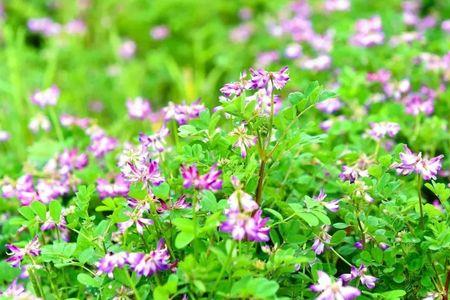 南方四月18是什么季节