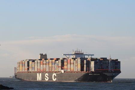 msc是什么类型的公司
