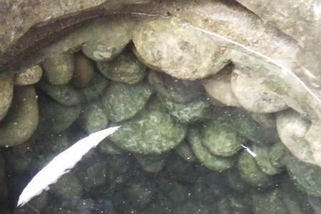 井水是活水吗