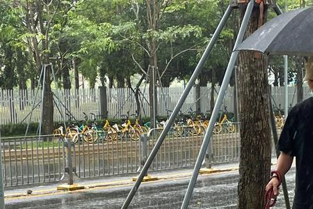 在雨中拉肖邦什么意思