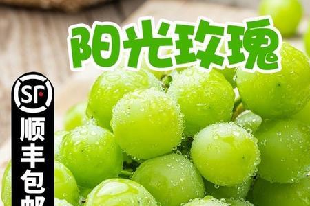黄金香印阳光玫瑰产地
