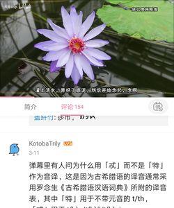 陀思妥读音