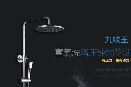 九牧王和长虹花洒哪个质量好