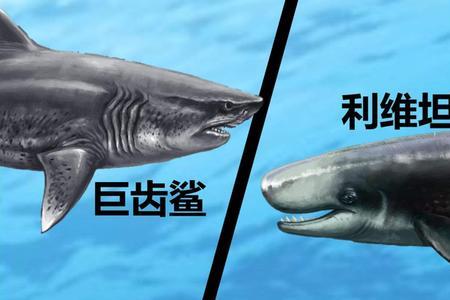 鲨鱼的历史