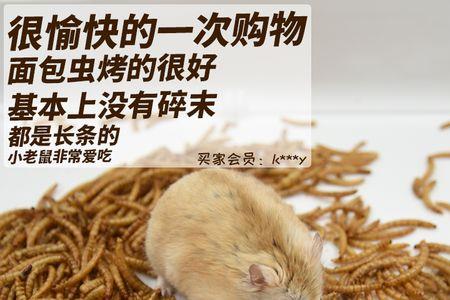 仓鼠粮里一般会生什么虫
