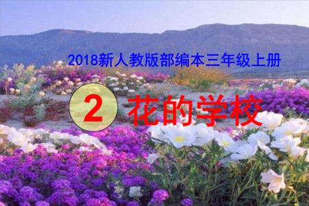 花的学校体现了花儿的什么心情