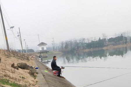 重庆江边钓鱼可以用矶竿吗
