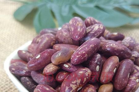 花芸豆和紫芸豆哪个好吃
