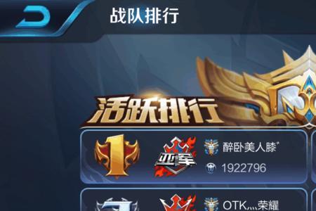 王者荣耀什么是职业队