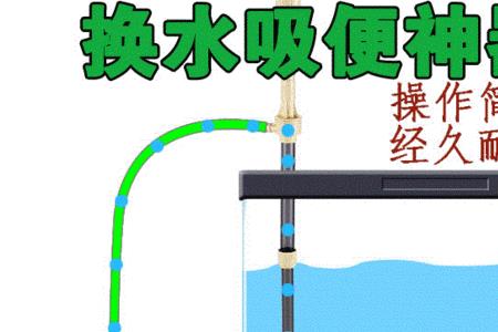 免换水鱼缸加盐水变清小窍门