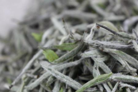 绿雪芽唐砖茶的特点