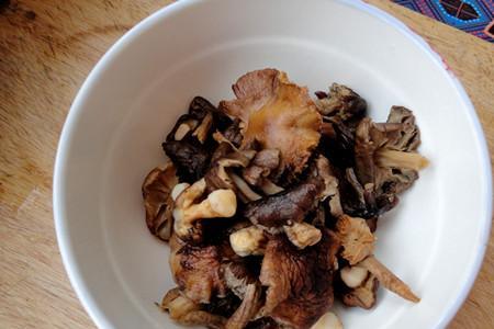 毛窝窝是什么菌