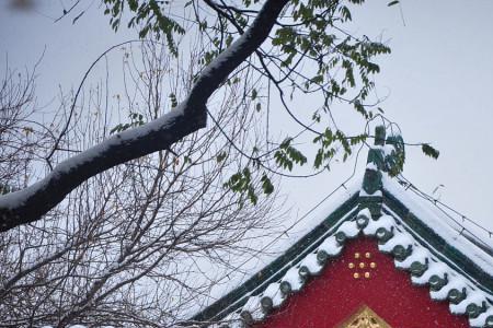 故宫下雪红墙诗句