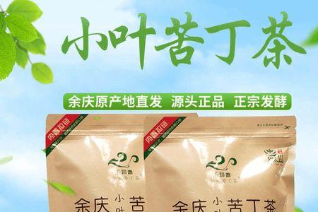 野生苦丁茶与发酵苦丁茶哪种好
