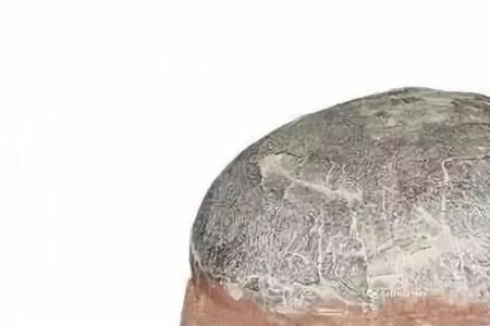 湖北十堰恐龙蛋化石价值