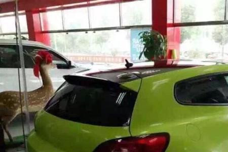 绿色车窗膜好吗