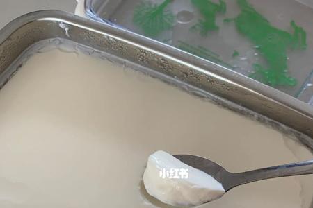 酸奶菌粉除了酸奶还可以做什么