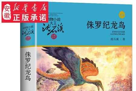 沈石溪共写了几本书