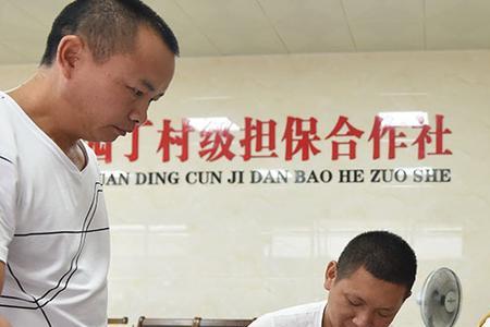 农村政策法规中什么叫林权证