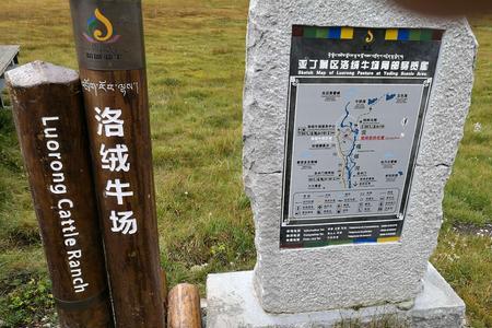 牛场名字大全