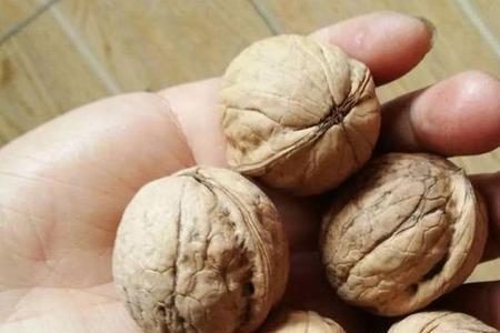 核桃克重差多少算正常