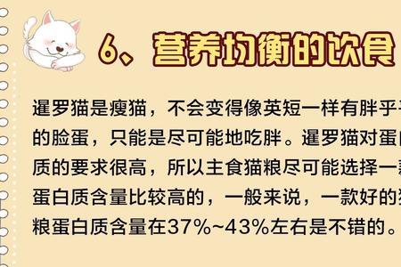 暹罗猫容易得传腹吗