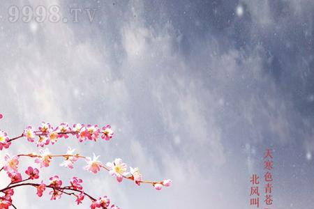 杜酱999这酒怎么样