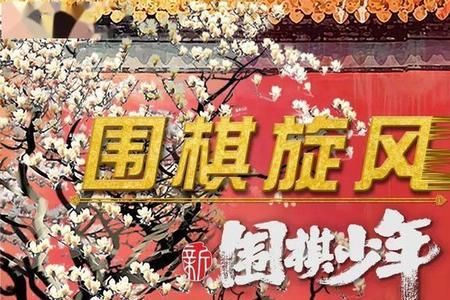 棋鬼王vs武云飞谁赢了