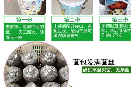 蘑菇菌棒说明书