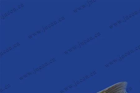 曲靖本地鱼类有哪些