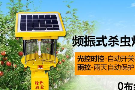 诱虫灯杀虫喂鱼实用吗