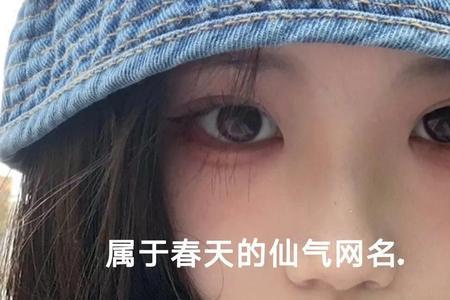 60多岁女有气质的网名