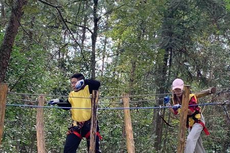 武隆纳溪原乡要门票吗