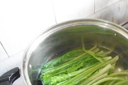 纯牛奶浇菜的正确方法