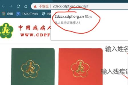 残疾人证升三级查什么