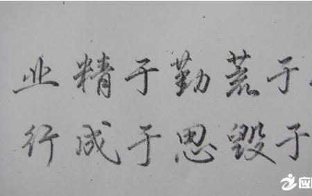 带杨的诗句励志