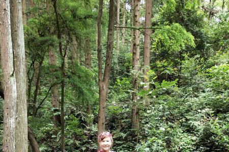 大山冲森林公园开门时间