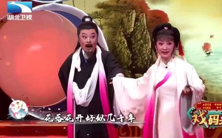 黄梅戏演员陈宗仁介绍一下