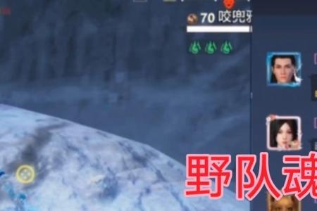 妄想山海双球雄狮怎么获得