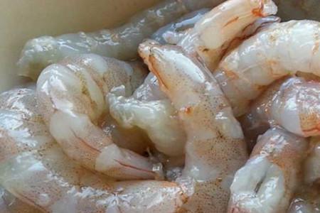 膨胀粉加虾泥如何开拉饵