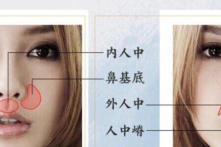 人中长度对照表