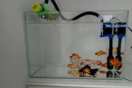 鱼缸水流供氧器能持续用多久