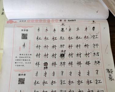 木字旁十三画的繁体字