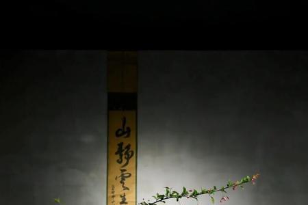 创作盆景文案
