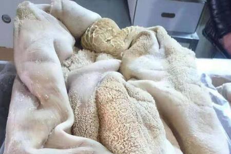 简述牛肚的初加工方法